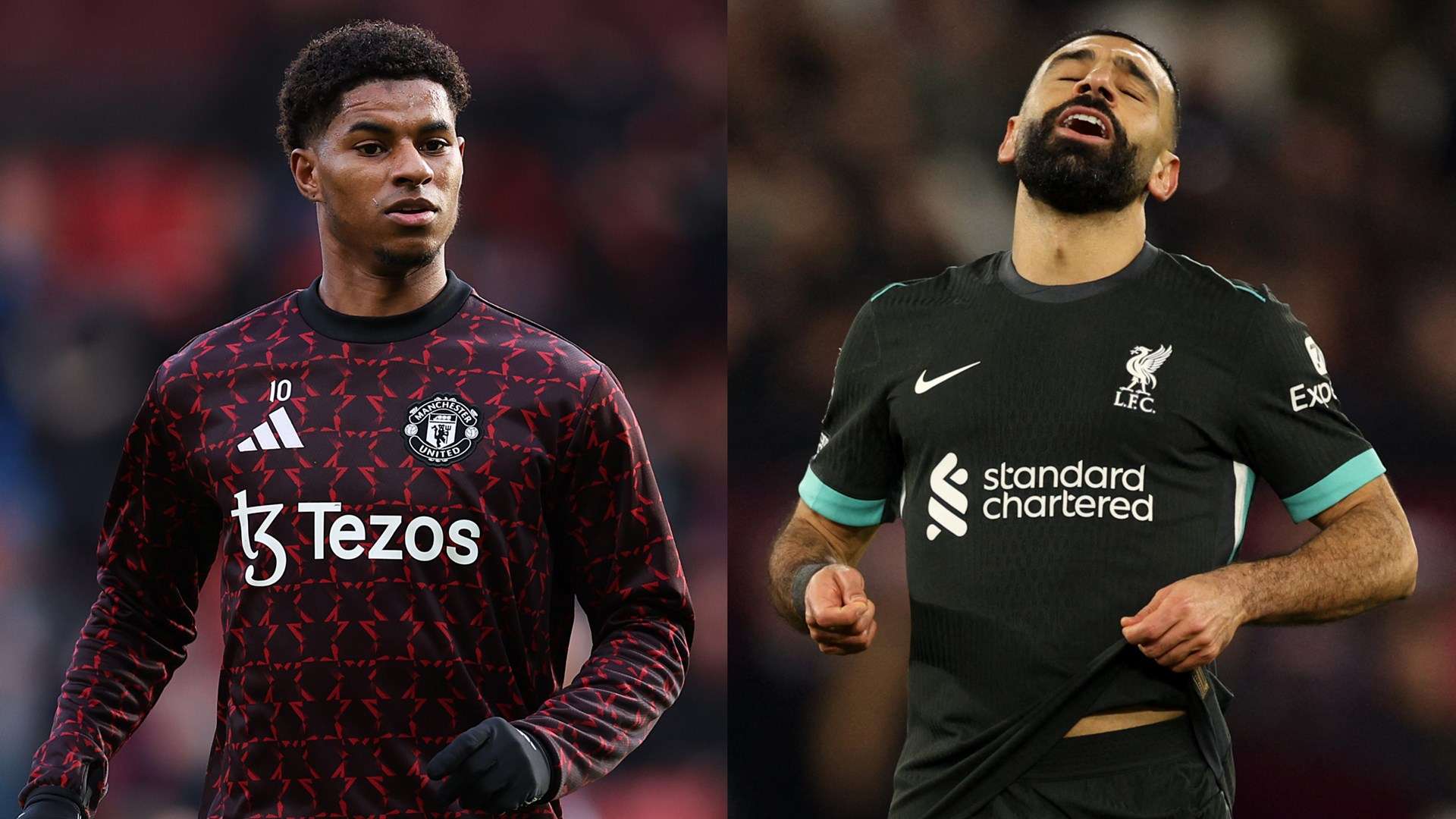 中显得尤为 中显得尤为