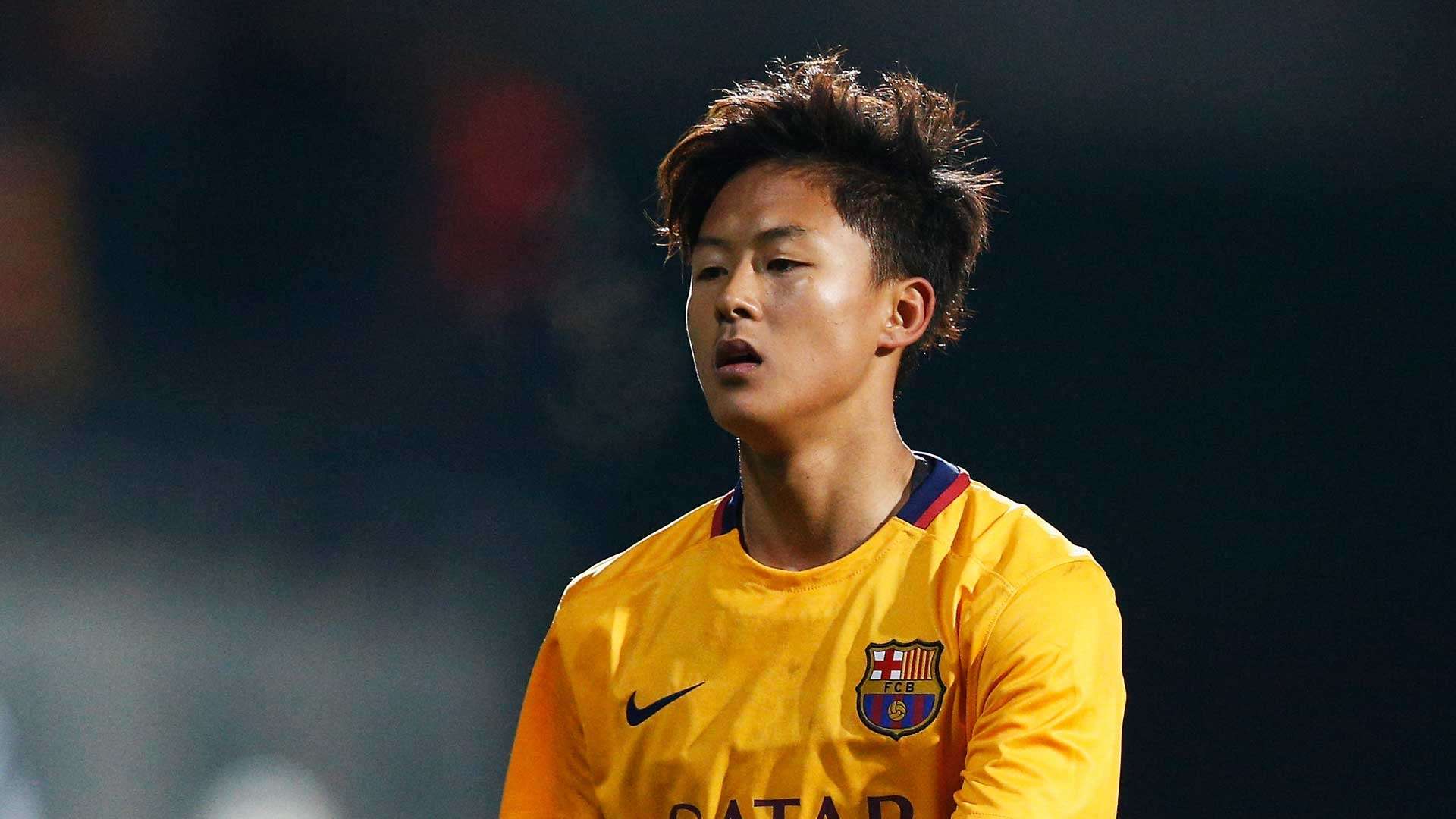 球傳承的象 球傳承的象