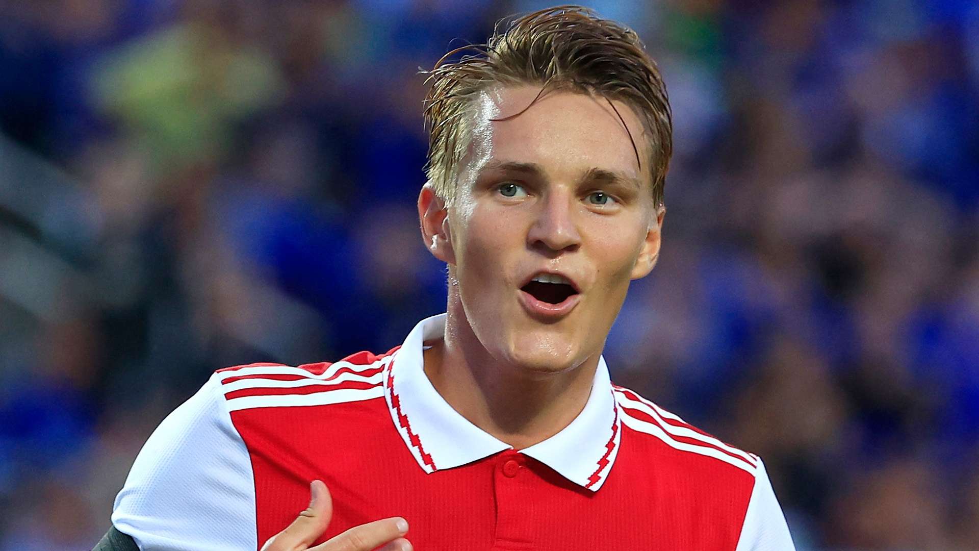 纯的落败打 纯的落败打